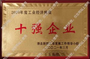 2020年度工業(yè)經(jīng)濟規(guī)模十強企業(yè)